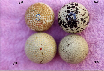 Collectable Golf Balls - Wooden Shafted Golf Clubs & Collectibles Auction