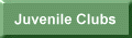 Wooden Shaft Golf Clubs -  Juvenile Clubs