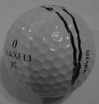 Greg Norman's Lost Ball From 1999 Master's Golf Tournament!